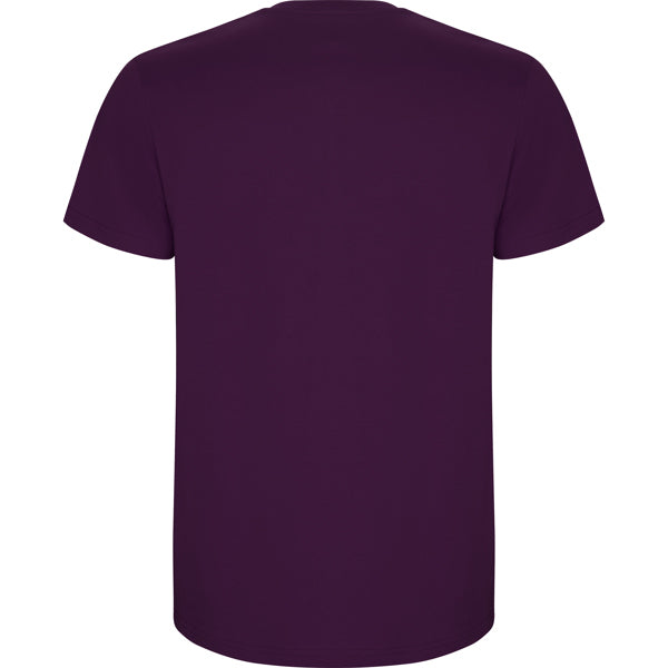 Roly STAFFORD 6681 Men's Short Sleeve T-Shirt