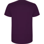 Roly STAFFORD 6681 Men's Short Sleeve T-Shirt